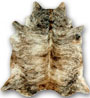 Light Brindle cowhide 09