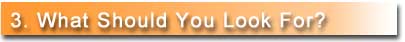What Should You Look For in a Website?